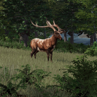 KoE Milestone 2A Retrospective