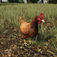 Let's Talk Animal AI